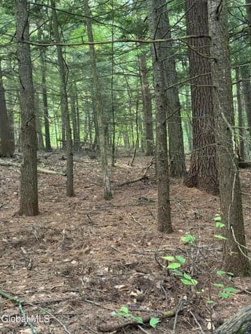 344 Dickinson Hill Road, Bolton, NY