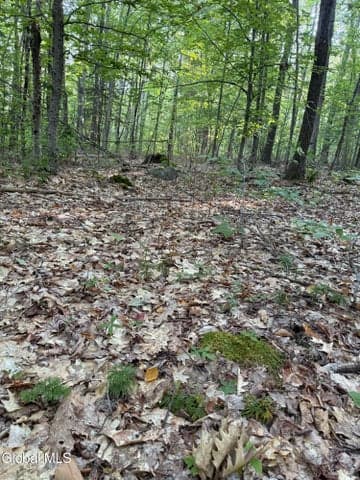 354 Dickinson Hill Road, Bolton, NY