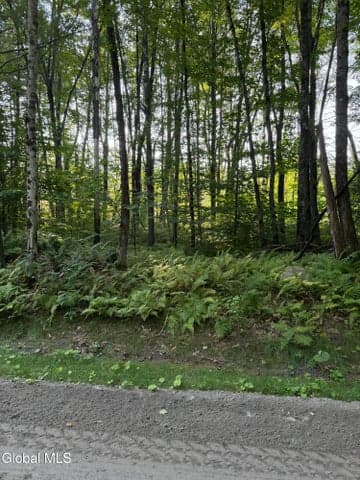 354 Dickinson Hill Road, Bolton, NY, photo 2