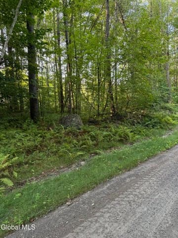 356 Dickinson Hill Road, Bolton, NY, photo 4