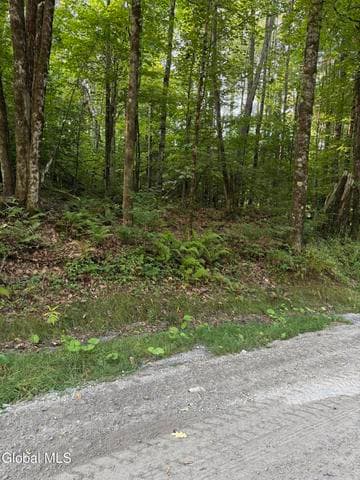 362 Dickinson Hill Road, Bolton, NY, photo 2