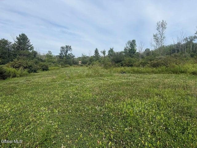 418 Saddlemire Hill Road, Carlisle, NY, photo 4
