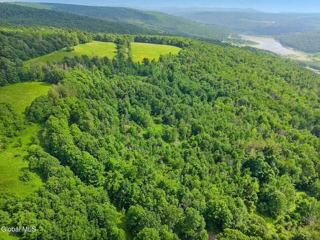 00 Debar Hill Road, Broome, NY, photo 2