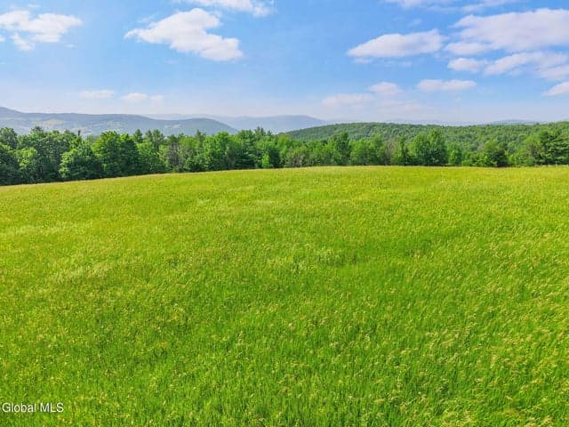 00 Debar Hill Road, Broome, NY, photo 4