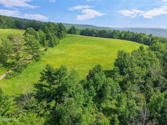 00 Debar Hill Road, Broome, NY, photo 3