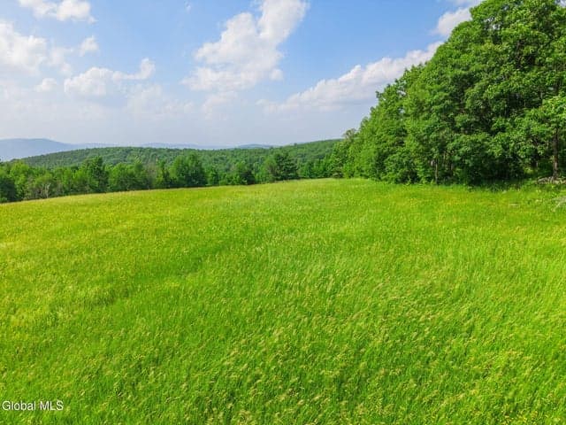 00 Debar Hill Road, Broome, NY, photo 5