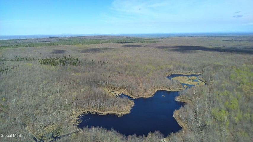 811 Drown Road, Mooers, NY, photo 4