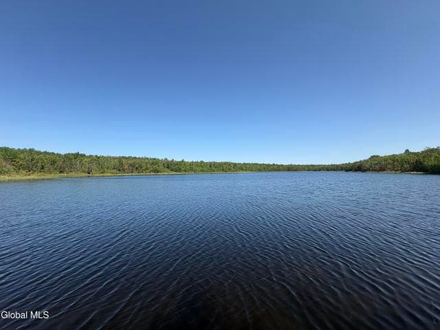 811 Drown Road, Mooers, NY, photo 5