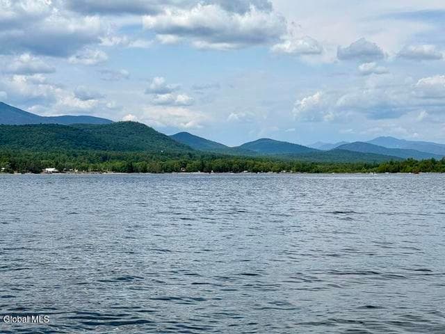 271 Boat Access Only @ Dock Street, Schroon, NY, photo 5