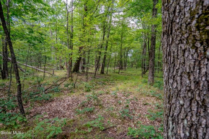 52 Oak Hill Road, Hebron, NY, photo 4