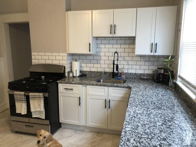 16 Harris Avenue, Albany, NY, photo 5