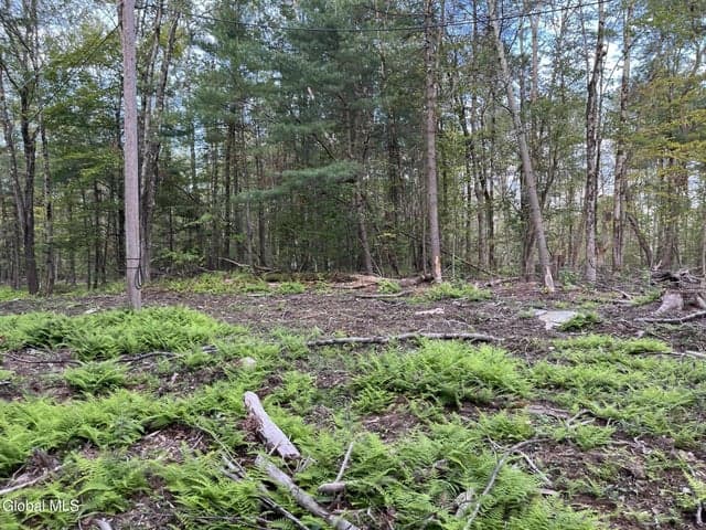 192 Crandall Road, Grafton, NY, photo 3