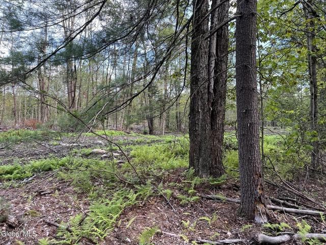192 Crandall Road, Grafton, NY, photo 4