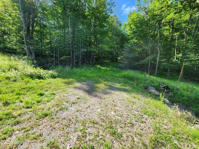 140 Roaser Road, Sand Lake, NY, photo 1