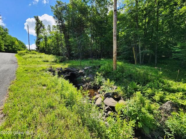 140 Roaser Road, Sand Lake, NY, photo 3