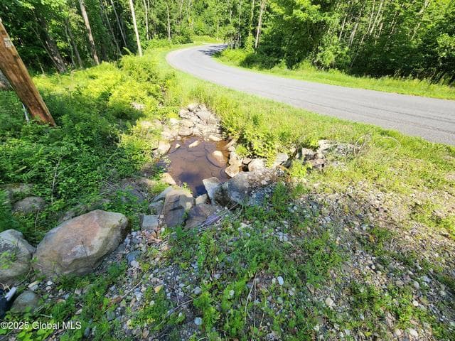 140 Roaser Road, Sand Lake, NY, photo 4