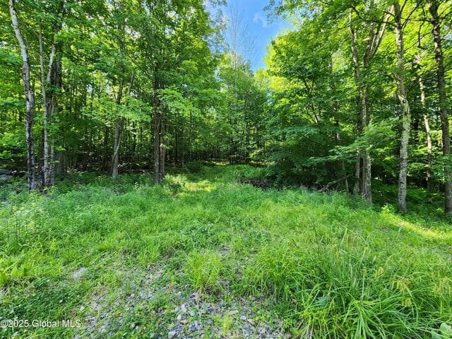 140 Roaser Road, Sand Lake, NY, photo 5