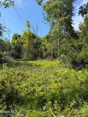 21 Wilson Street, Gloversville, NY, photo 3