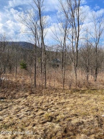 890 Altamont Road, Guilderland, NY, photo 1