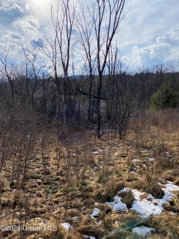 890 Altamont Road, Guilderland, NY, photo 2