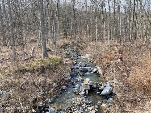 890 Altamont Road, Guilderland, NY, photo 3