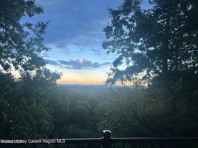 300 Hinrichsen Heights Road, Coxsackie, NY, photo 3