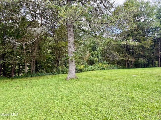 1713 Thacher Park Road, Berne, NY, photo 3
