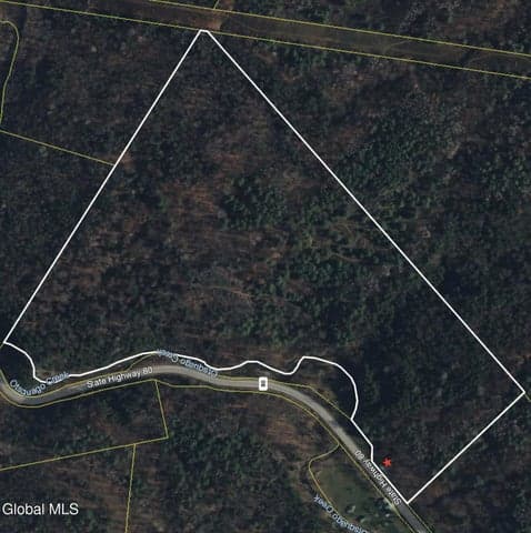 2786 State Route 80, Stark, NY, photo 5