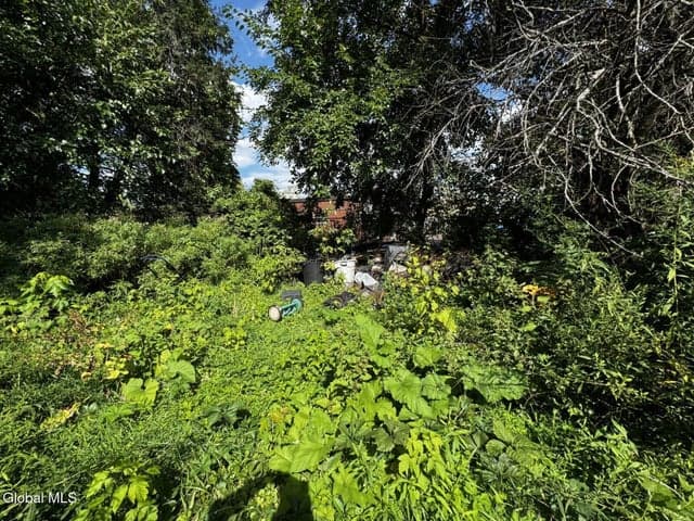 51 Slingerland Street, Albany, NY, photo 2
