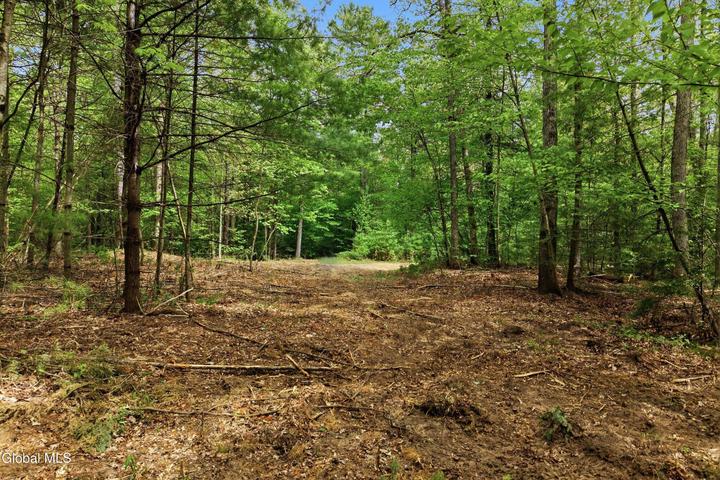 L 20.1 New York 50, Northumberland, NY, photo 5