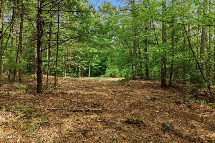 L 20.3 New York 50, Northumberland, NY, photo 5