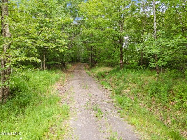 255 Lassen Road, Broome, NY, photo 1