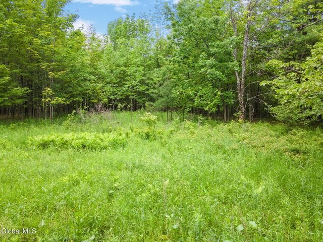 255 Lassen Road, Broome, NY, photo 2