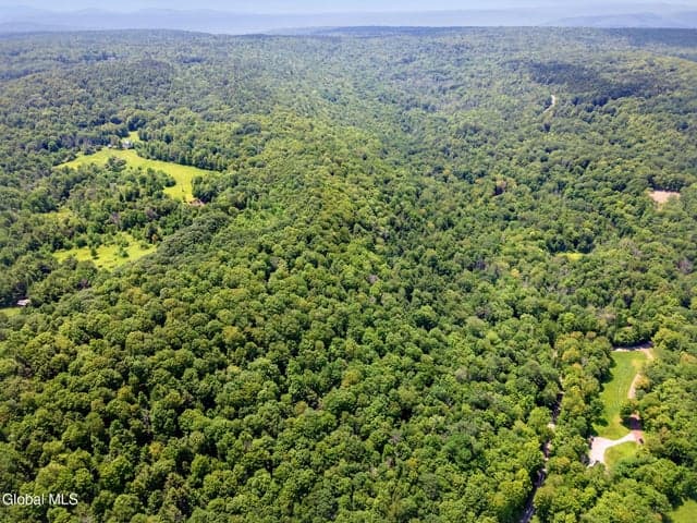 255 Lassen Road, Broome, NY, photo 4