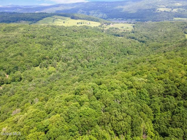 255 Lassen Road, Broome, NY, photo 5