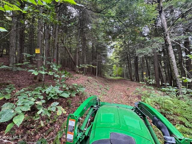 0 Charley Hill Road #239.90, Schroon, NY, photo 1