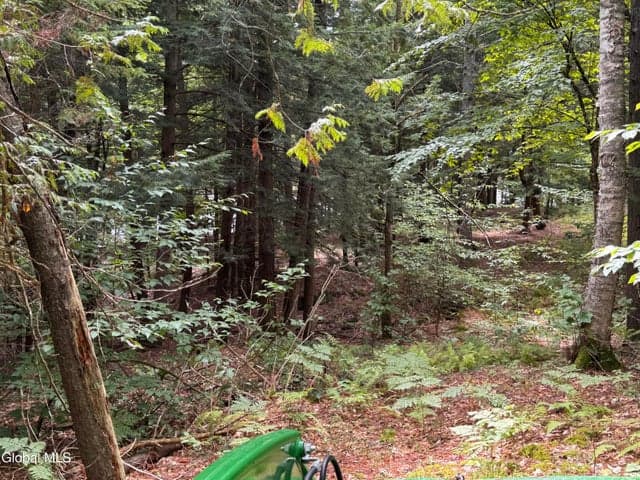 0 Charley Hill Road #239.90, Schroon, NY, photo 2