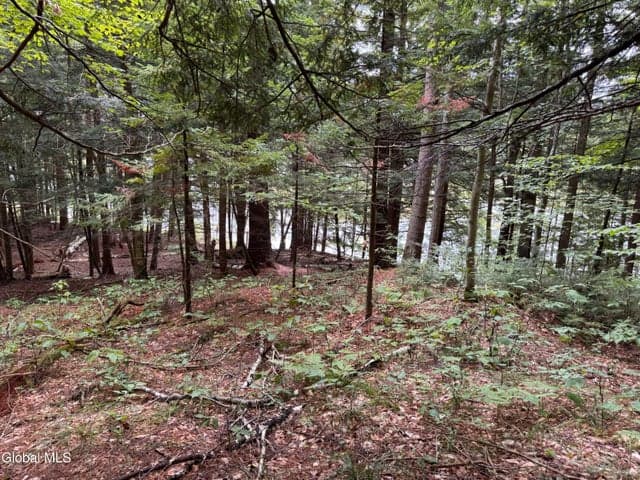 0 Charley Hill Road #239.90, Schroon, NY, photo 4