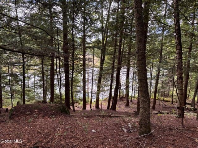 0 Charley Hill Road #239.90, Schroon, NY, photo 5