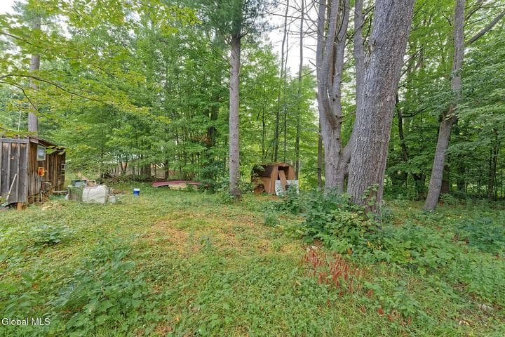 331 Battenkill Evergreens, Jackson, NY, photo 5