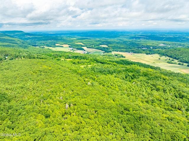 L4.3 Cass Hill Road, New Scotland, NY, photo 2