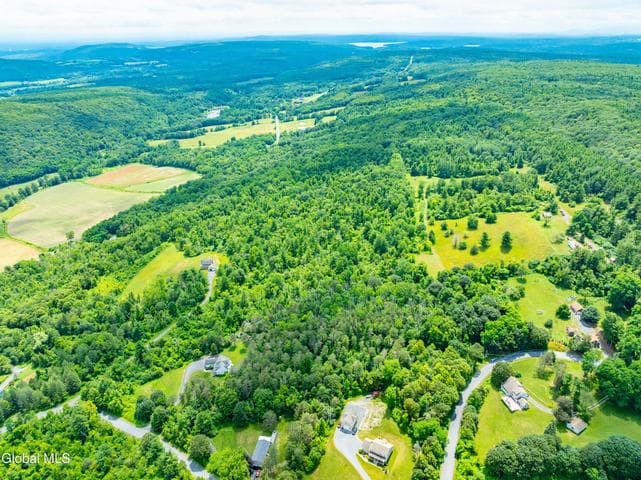L4.3 Cass Hill Road, New Scotland, NY, photo 4