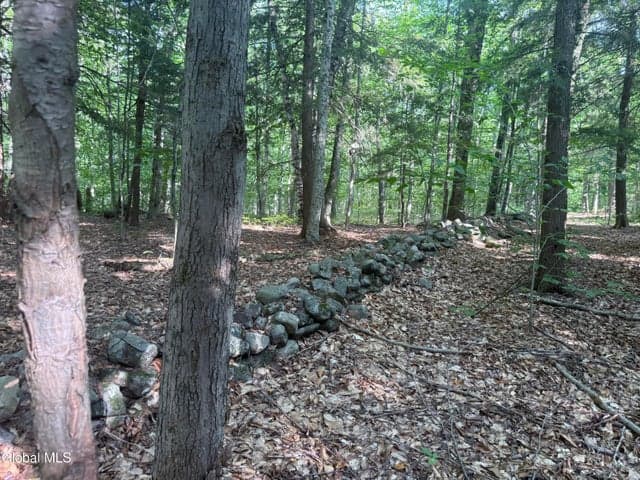 375 Ormsbee Road, Greenfield, NY, photo 4