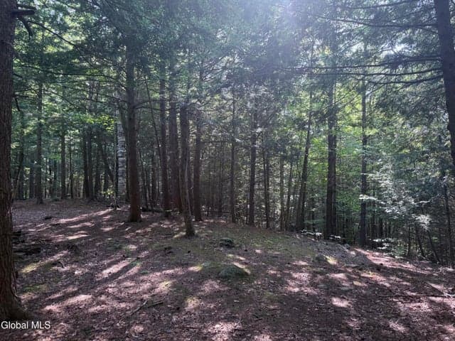 375 Ormsbee Road, Greenfield, NY, photo 5