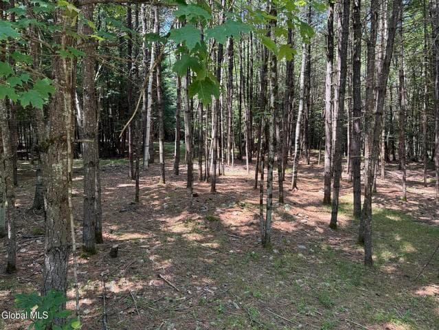 45 Hidden Valley Road, Lake Luzerne, NY, photo 1