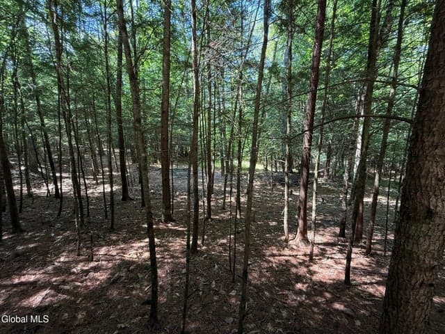 57 hidden valley Road, Lake Luzerne, NY, photo 1