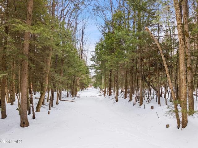 L25.1 Fifty Six Road, Poestenkill, NY, photo 4
