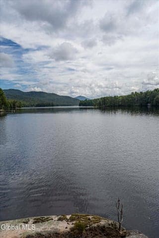 18 High Ledge Lane, Newcomb, NY, photo 4