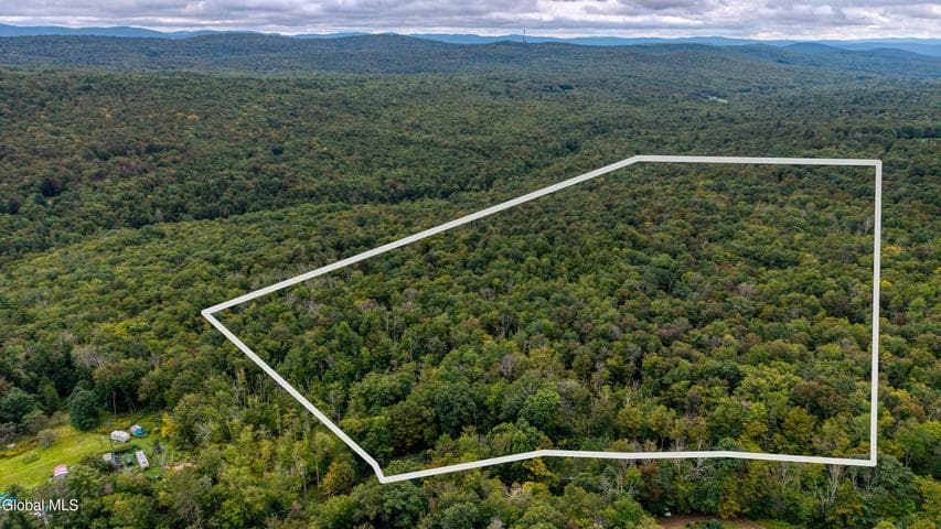 0 Walk Rd Road, Sand Lake, NY, photo 1