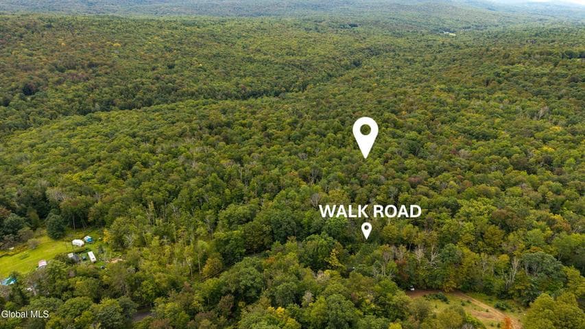 0 Walk Rd Road, Sand Lake, NY, photo 3